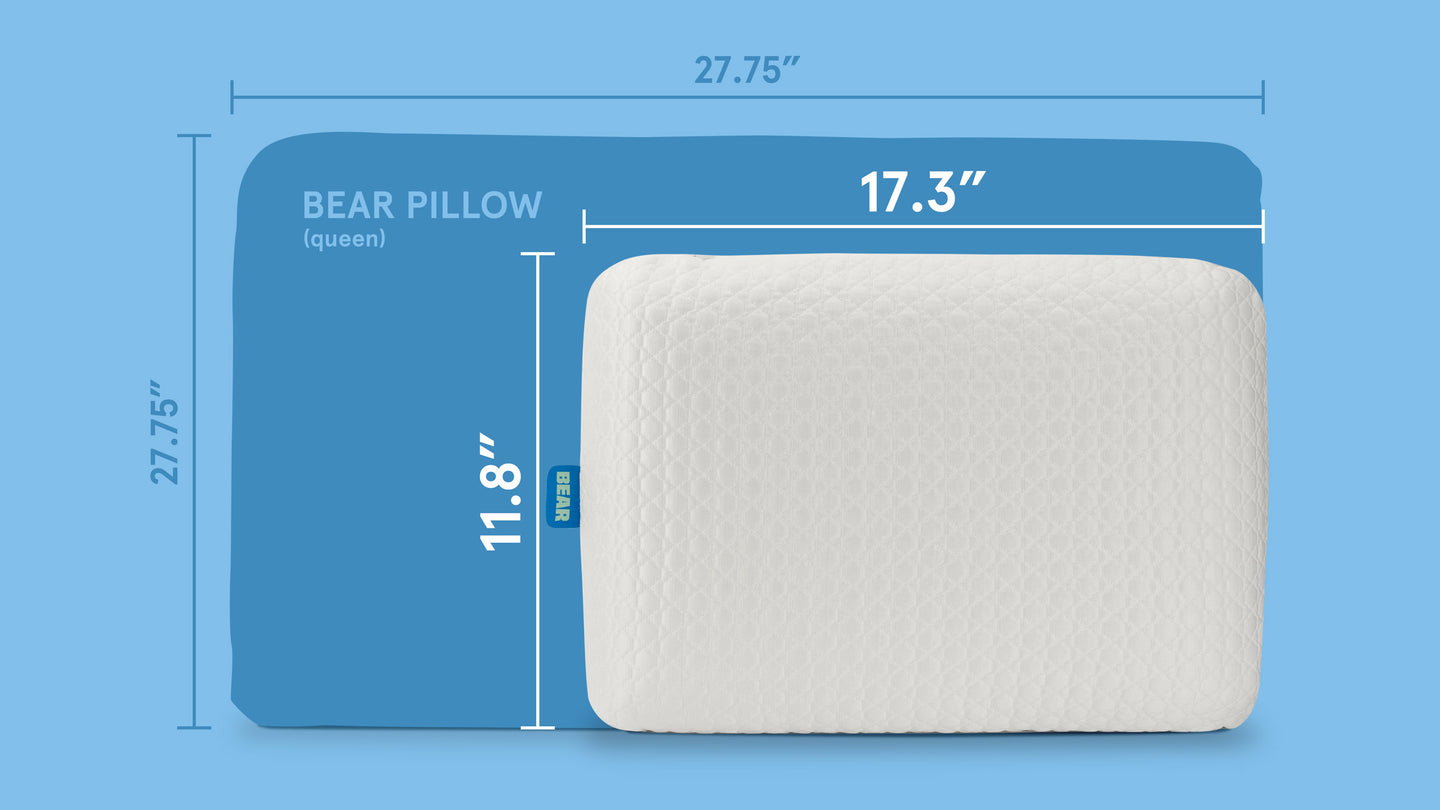 Bear memory foam pillow hotsell